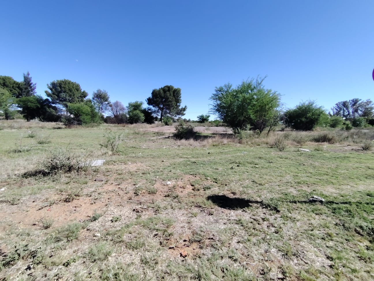  Bedroom Property for Sale in Raceway Free State